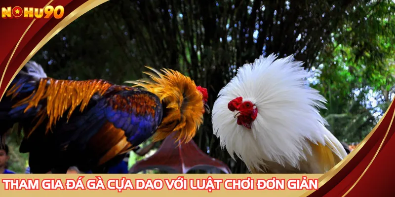 Tham gia đá gà cựa dao với luật chơi đơn giản